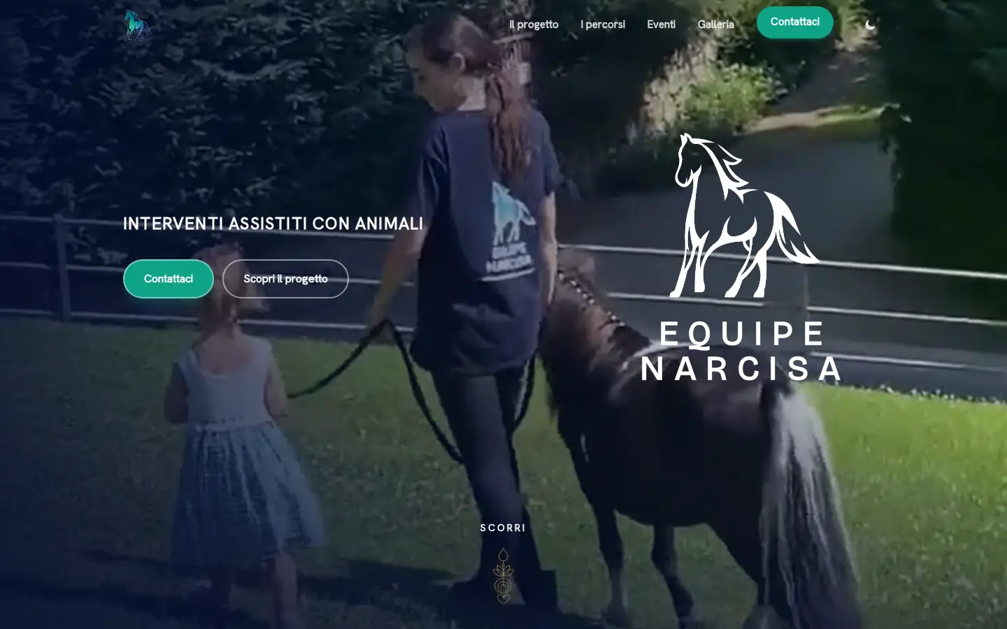Home del sito Equipe Narcisa: una bambina accarezza un pony in un prato.